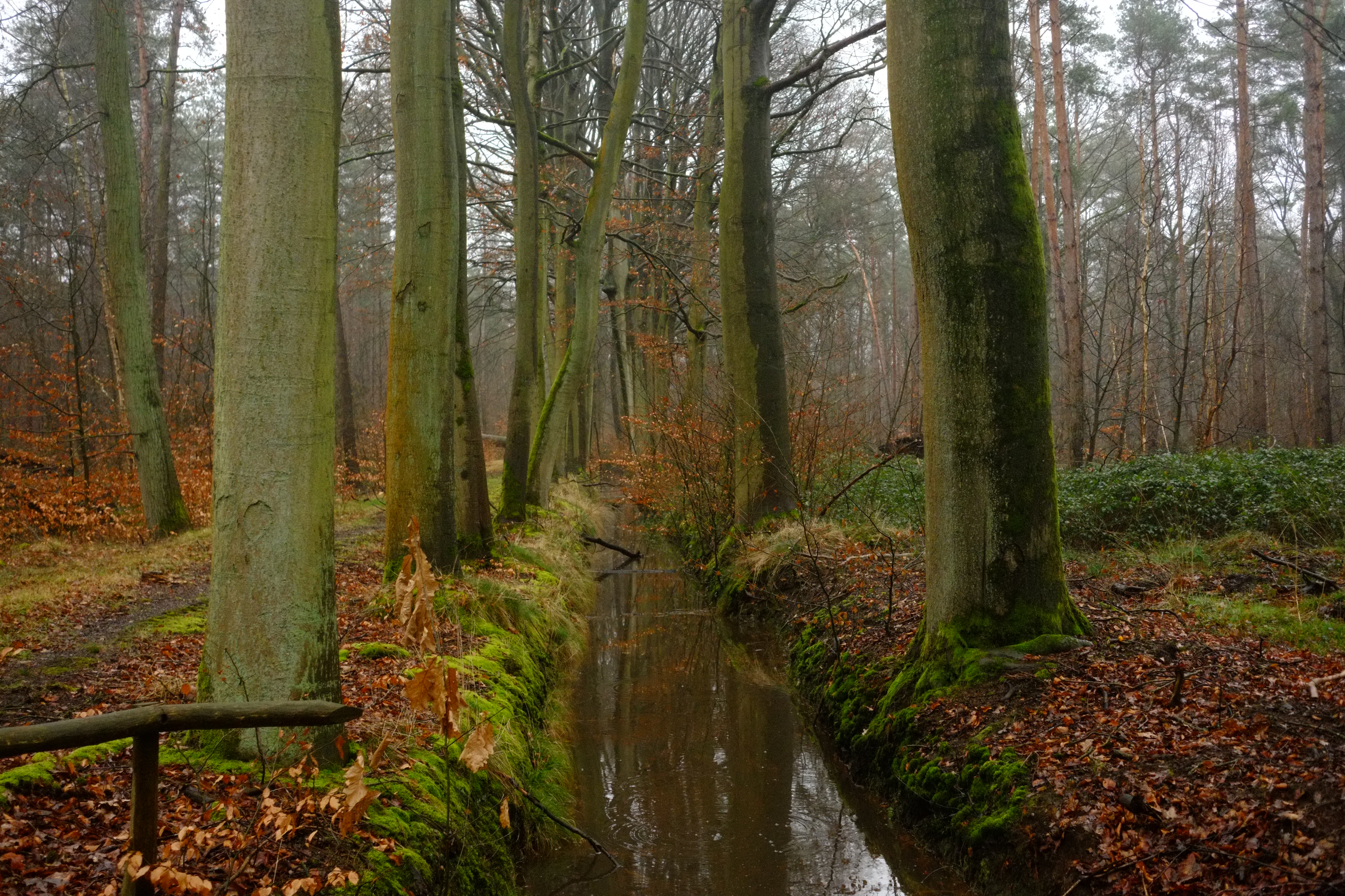 Geritsel en Gefluister Herenthout